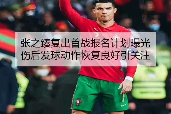张之臻复出首战报名计划曝光 伤后发球动作恢复良好引关注