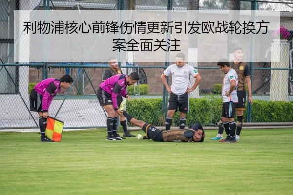 利物浦核心前锋伤情更新引发欧战轮换方案全面关注
